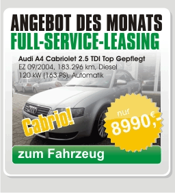 igrek-angebot 001 anima